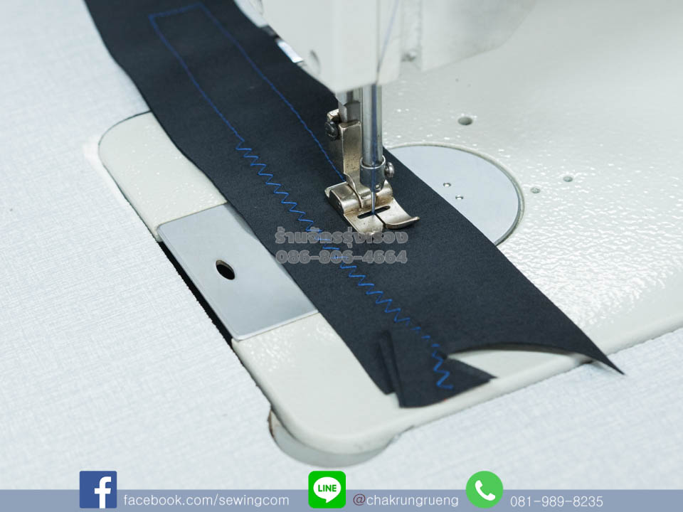 ตัวอย่างตะเข็บ